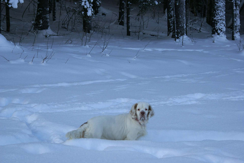 Winterwalk_23Jan2010_v_Hilla_g