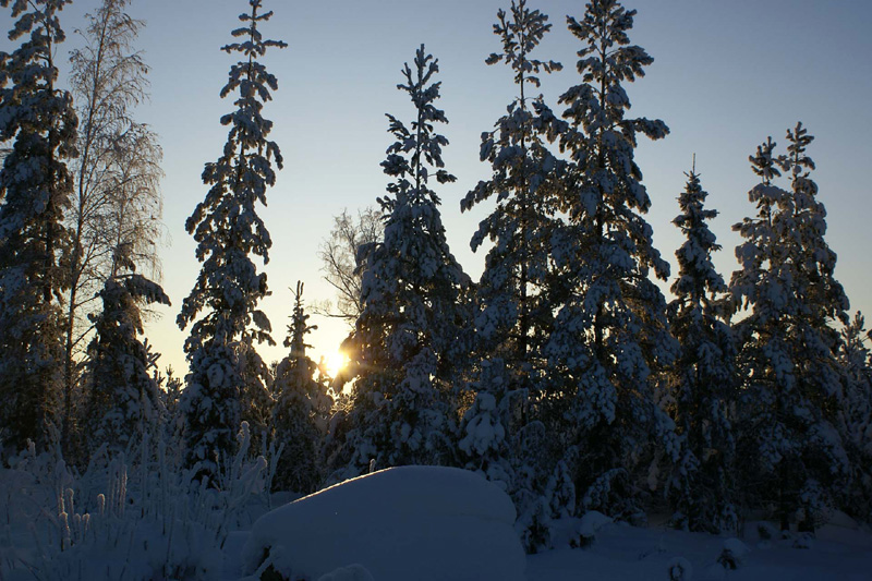 aa_Polar_Sun_Midday_in_January