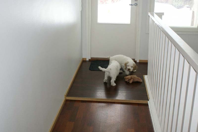 Hilla_Flynn_9weeks_d