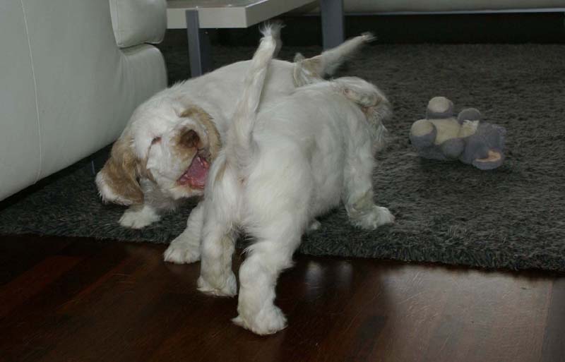 Hilla_Flynn_9weeks_e