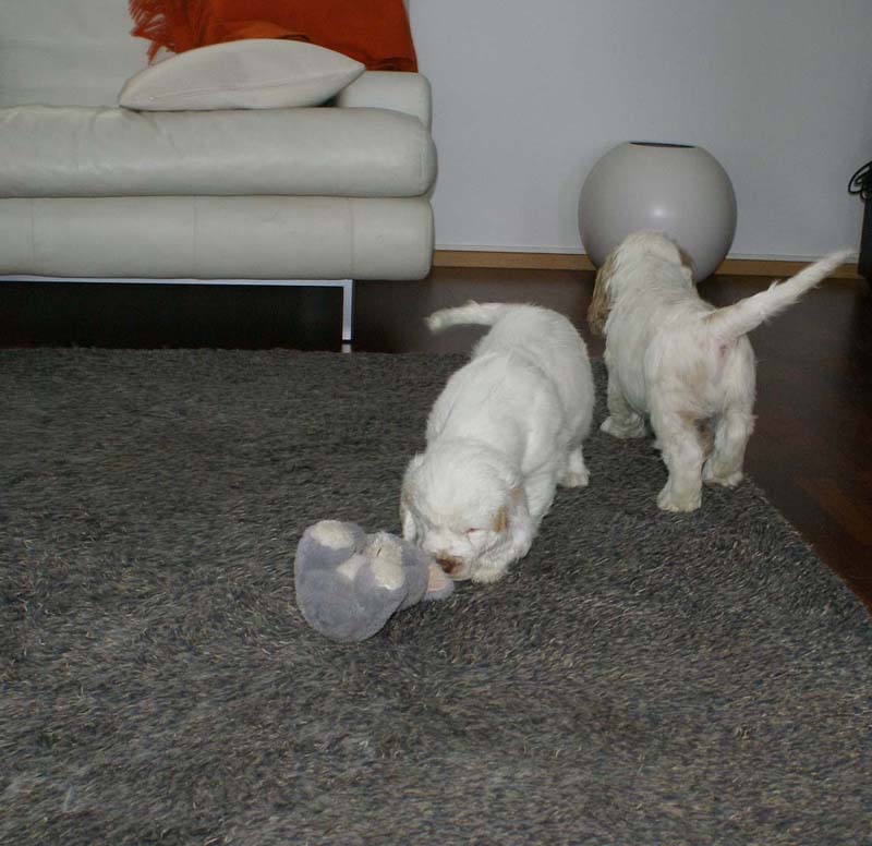 Hilla_Flynn_9weeks_f