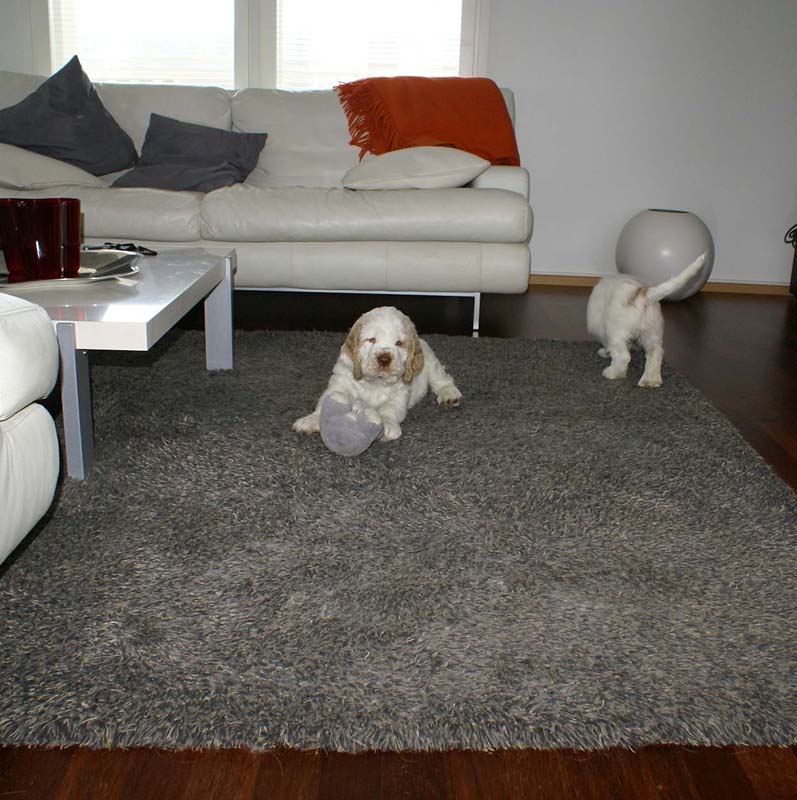 Hilla_Flynn_9weeks_g