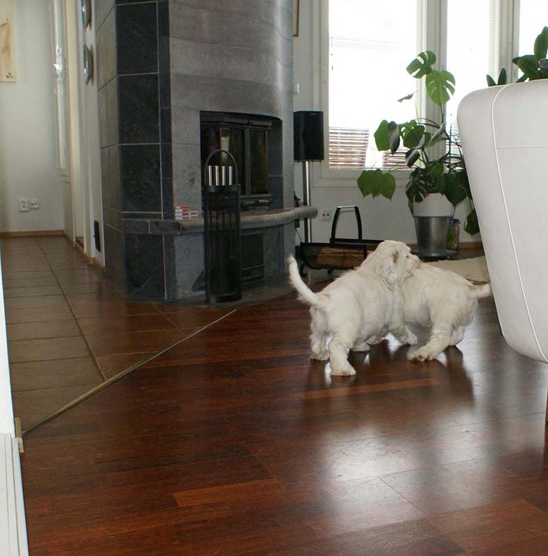 Hilla_Flynn_9weeks_h