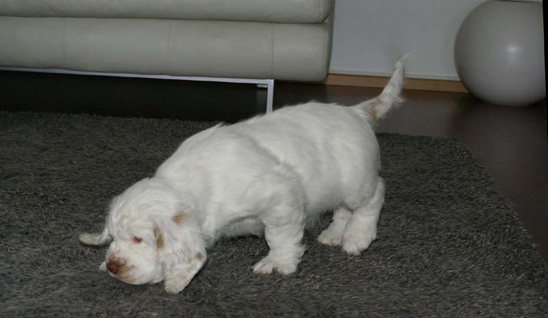 Hilla_Flynn_9weeks_l