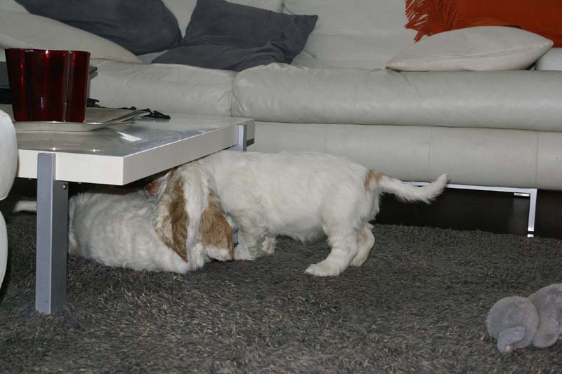 Hilla_Flynn_9weeks_n