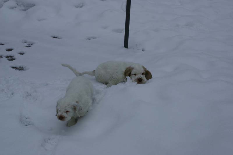 Hilla_Flynn_9weeks_p