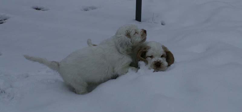 Hilla_Flynn_9weeks_q