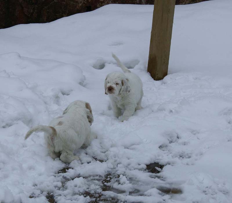 Hilla_Flynn_9weeks_s