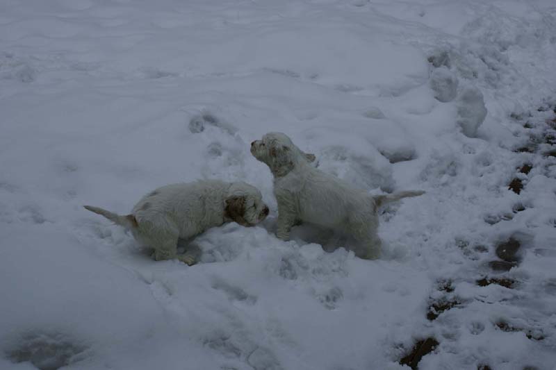 Hilla_Flynn_9weeks_ut