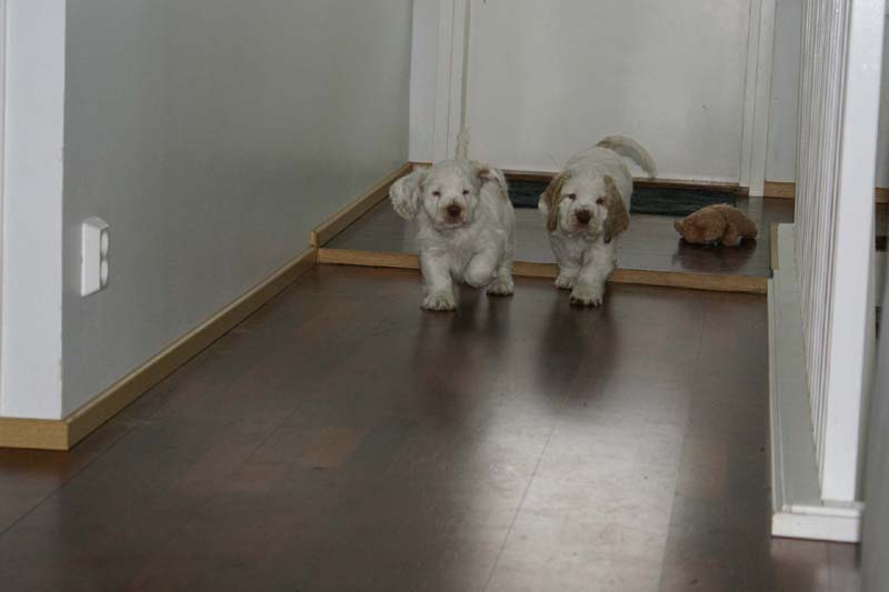 Hilla_Flynn_9weeks_uu