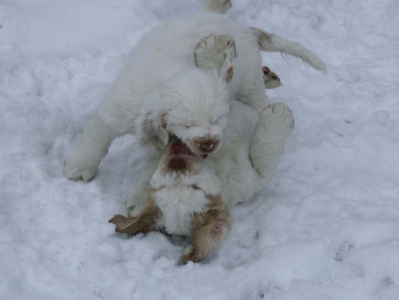 Hilla_Flynn_9weeks_v