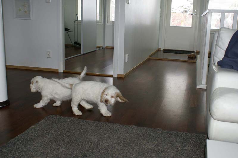 Hilla_Flynn_9weeks_vv