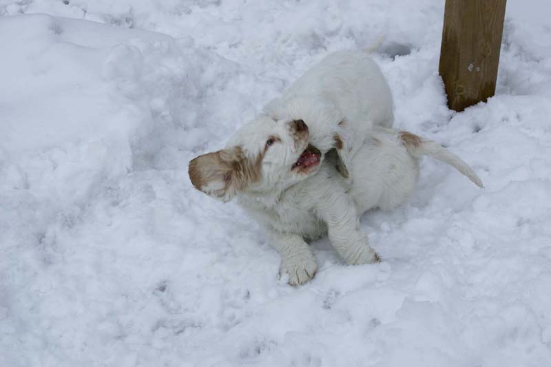 Hilla_Flynn_9weeks_w