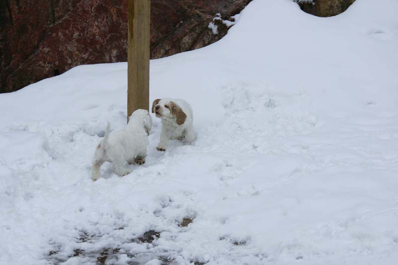 Hilla_Flynn_9weeks_x