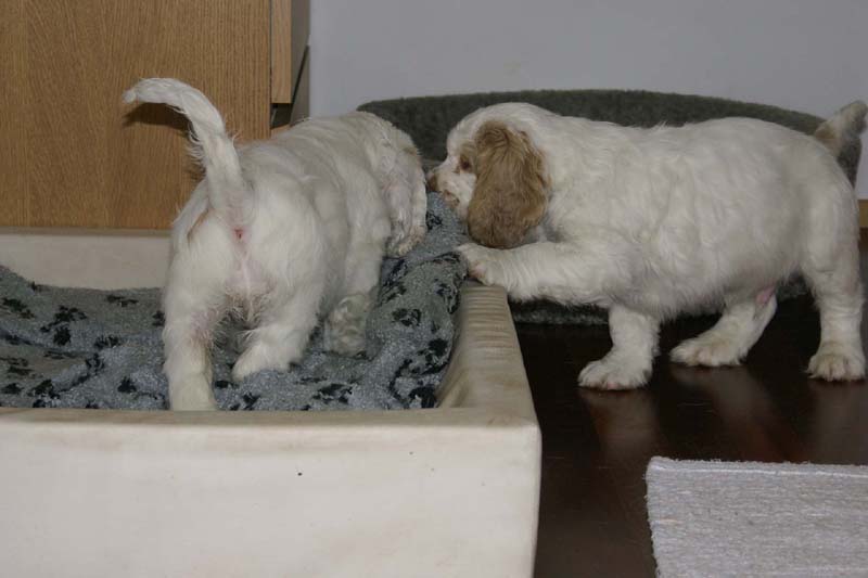 Hilla_Flynn_9weeks_xx