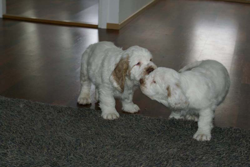 Hilla_Flynn_9weeks_z