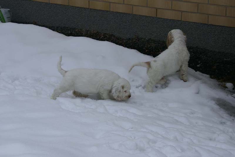 Hilla_Flynn_9weeks_zz