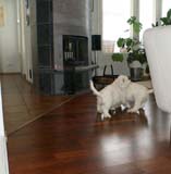 Hilla_Flynn_9weeks_h