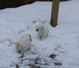 Hilla_Flynn_9weeks_s