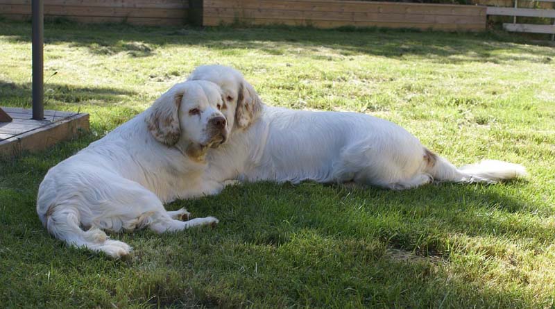 Hilla_6months_g_Bumbaa