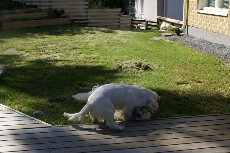 Hilla_6months_i_Bumbaa