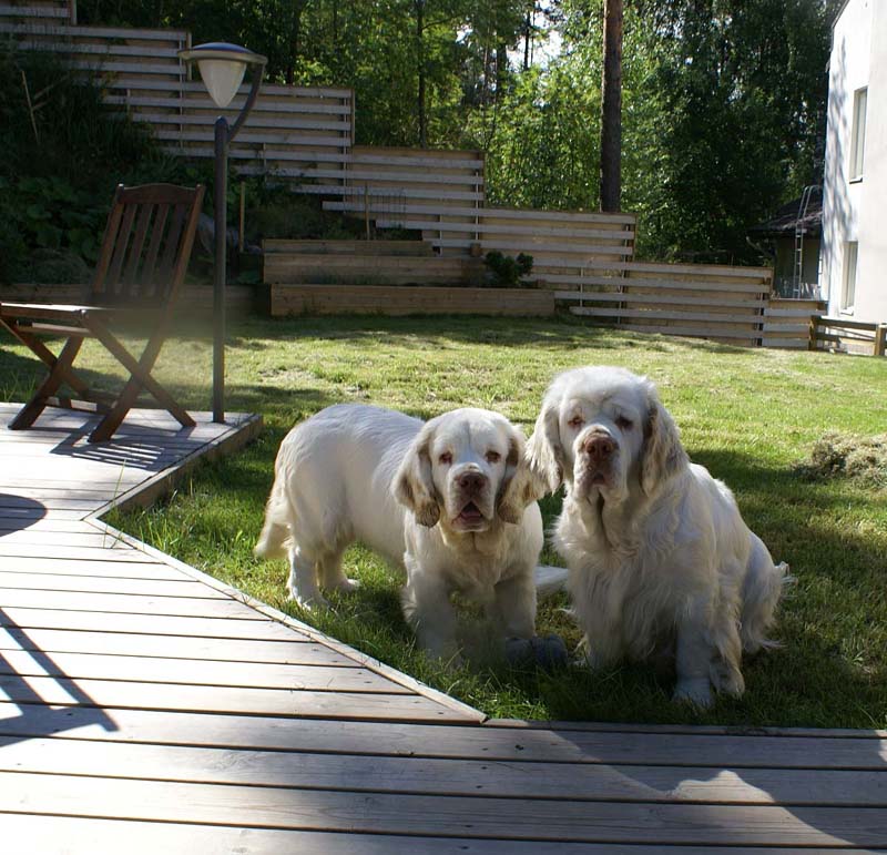 Hilla_6months_j_Bumbaa