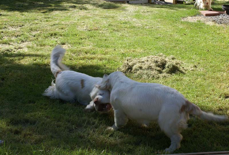 Hilla_6months_p_Bumbaa