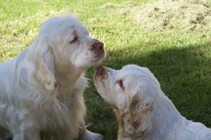 Hilla_6months_q_Bumbaa