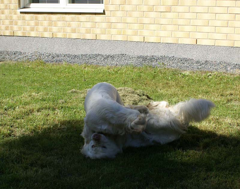 Hilla_6months_r_Bumbaa