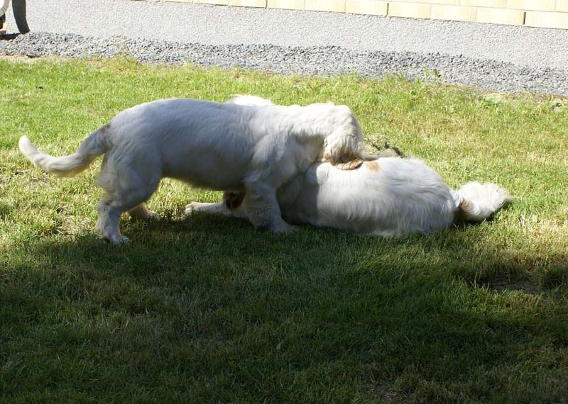 Hilla_6months_s_Bumbaa