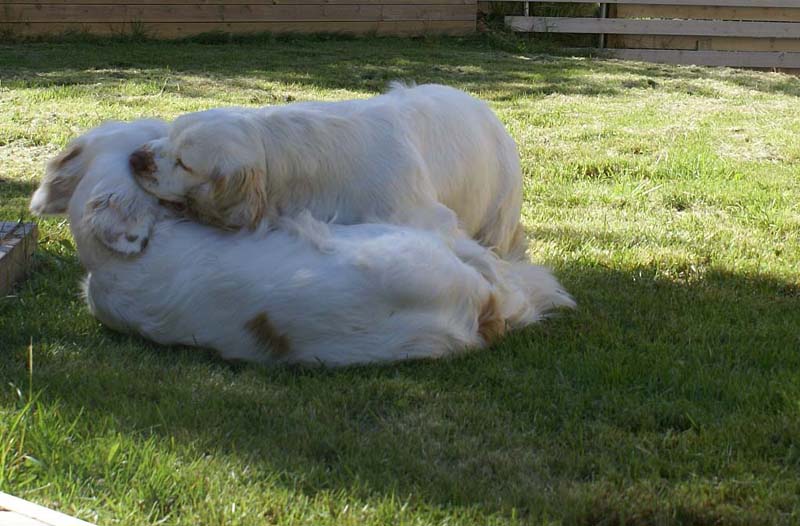 Hilla_6months_t_Bumbaa