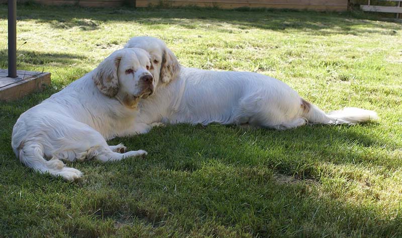 Hilla_6months_u_Bumbaa