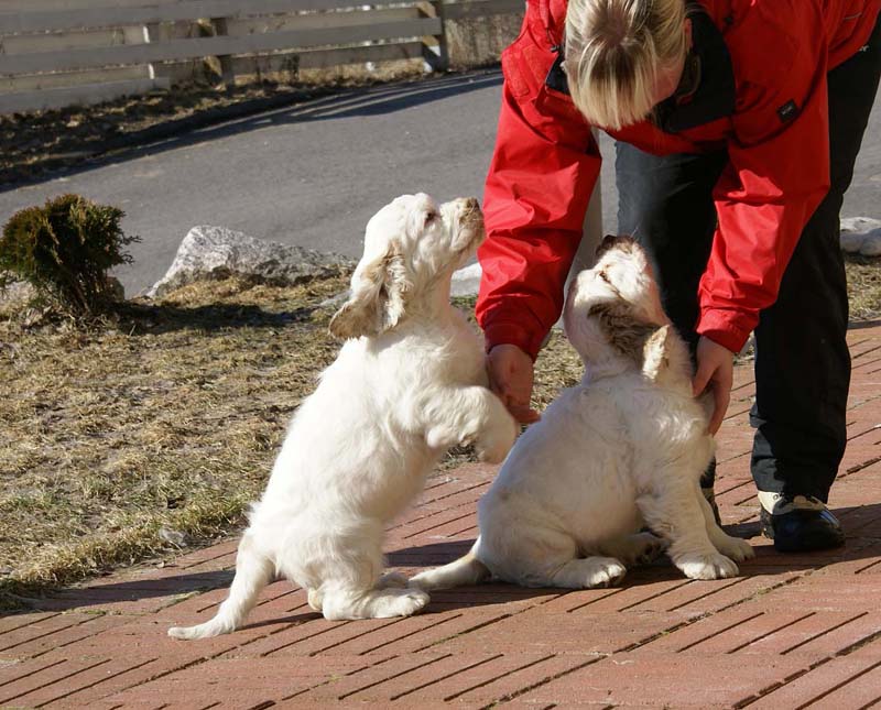 Hilla_Flynn_11weeks_Senni_b