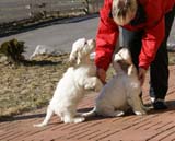 Hilla_Flynn_11weeks_Senni_b