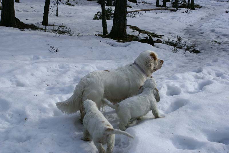 Flynn_Hilla_10weeks_Cotton