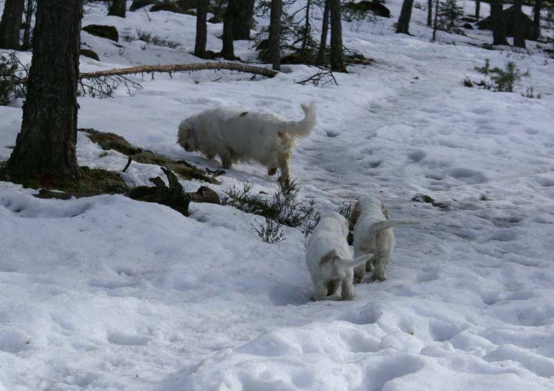 Flynn_Hilla_10weeks_Cotton_b