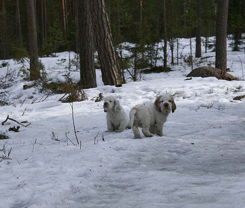 Flynn_Hilla_10weeks_b