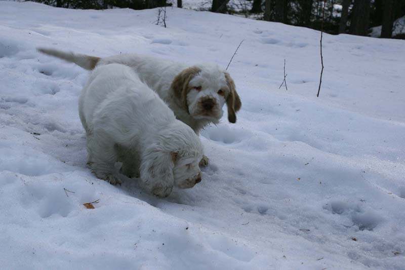 Flynn_Hilla_10weeks_f