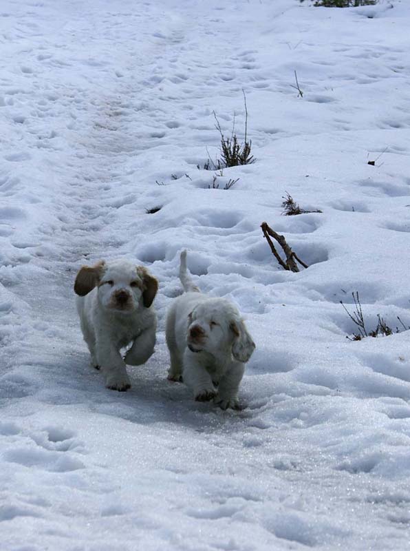 Flynn_Hilla_10weeks_i