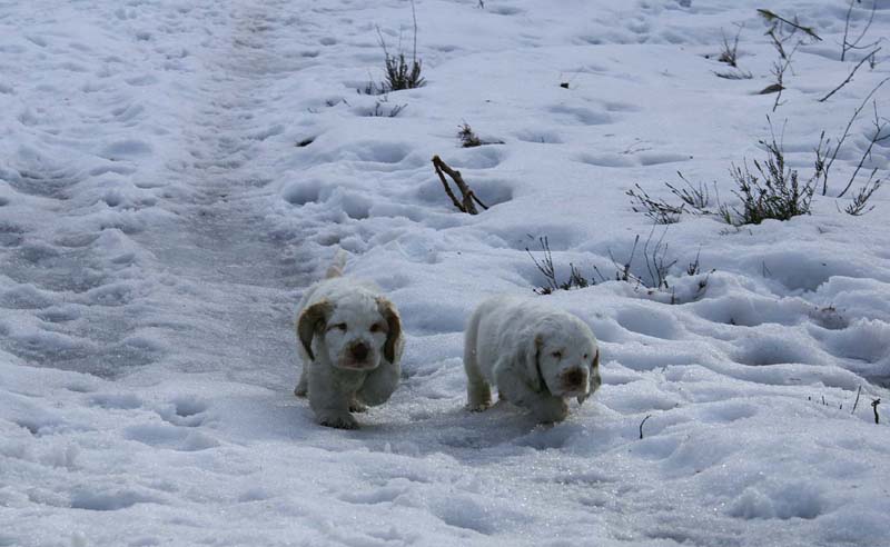 Flynn_Hilla_10weeks_l