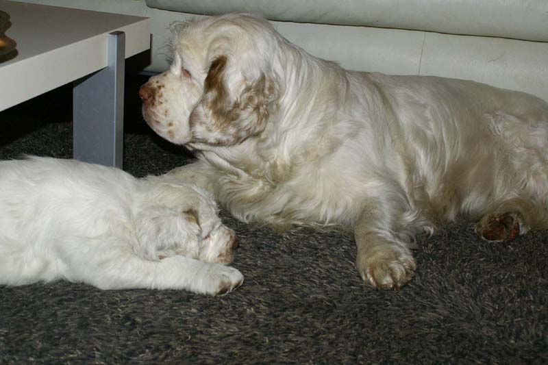 Hilla_10weeks_Bumbaa_a