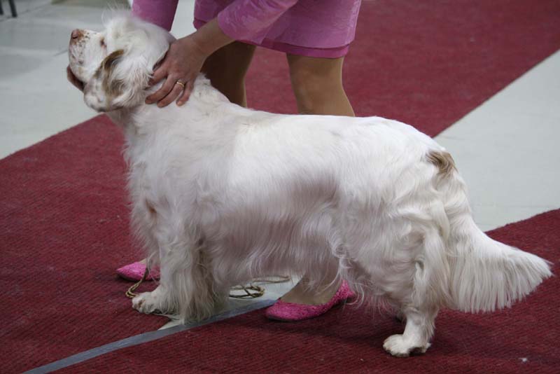 Bumbaa_Lahti_24April2010_b