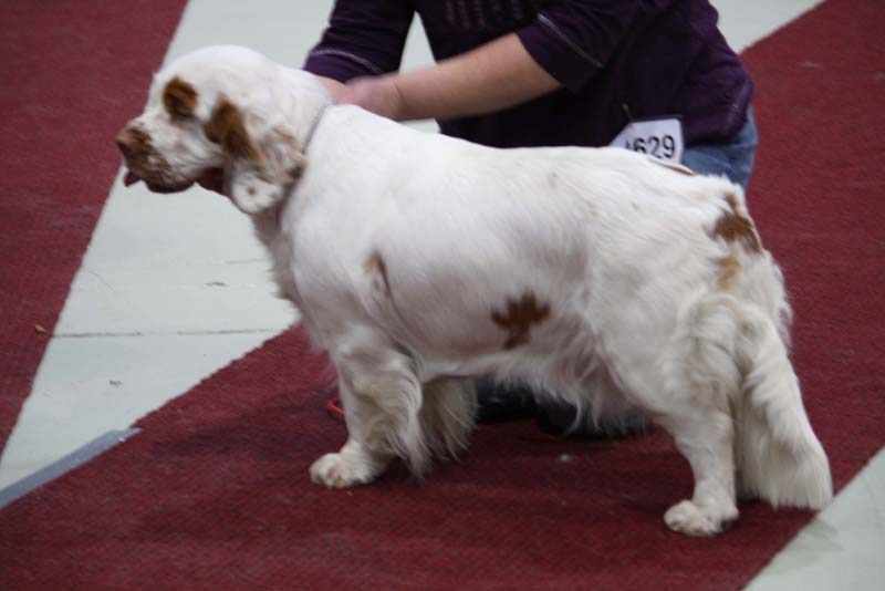 Ella_Lahti_24April2010