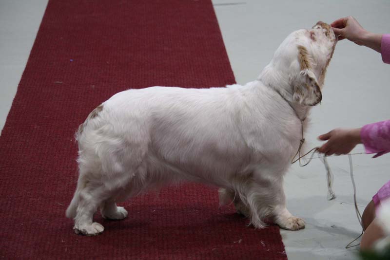 Hilla_Lahti_24April2010