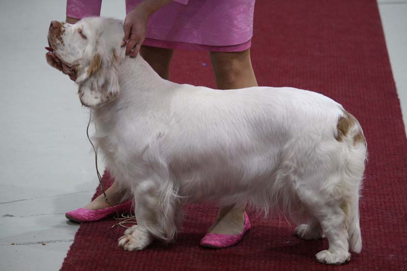 Hilla_Lahti_24April2010_b