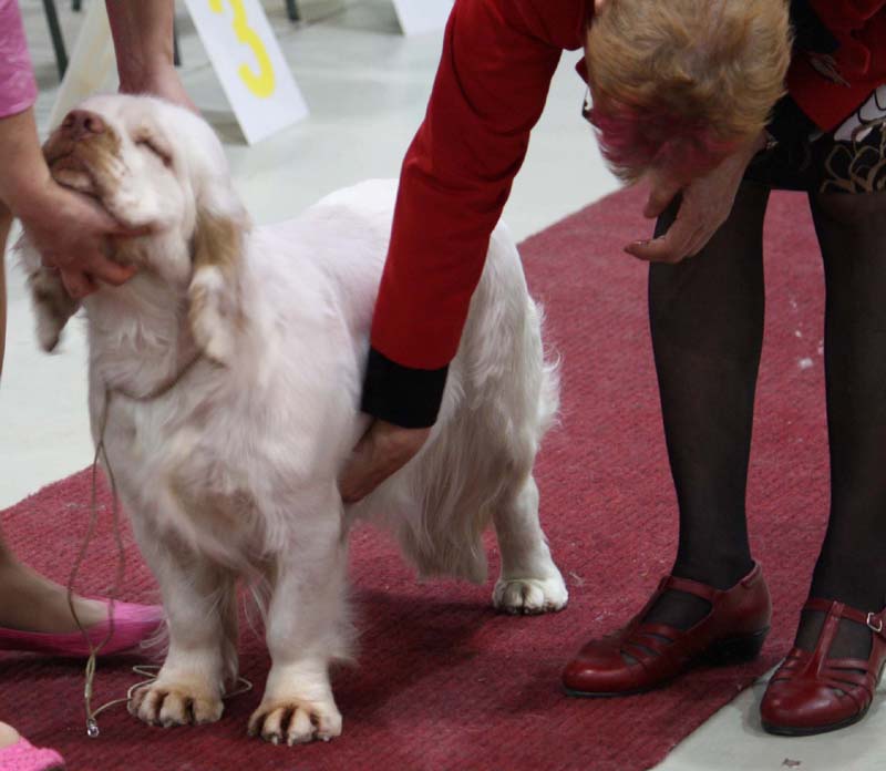 Hilla_Lahti_24April2010_c