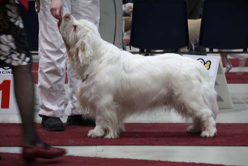 Reno_Lahti_24April2010_b