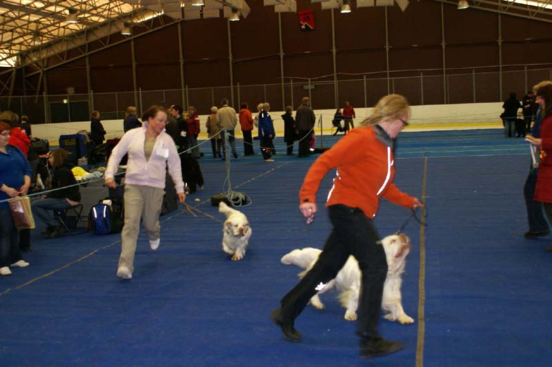 Lappeenranta_CACIB_BOB_BOS