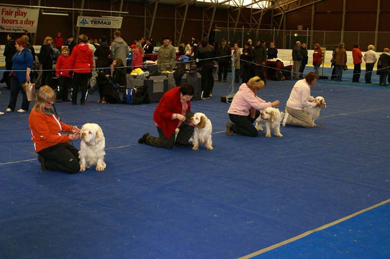 Lappeenranta_CACIB_BreedersGroup