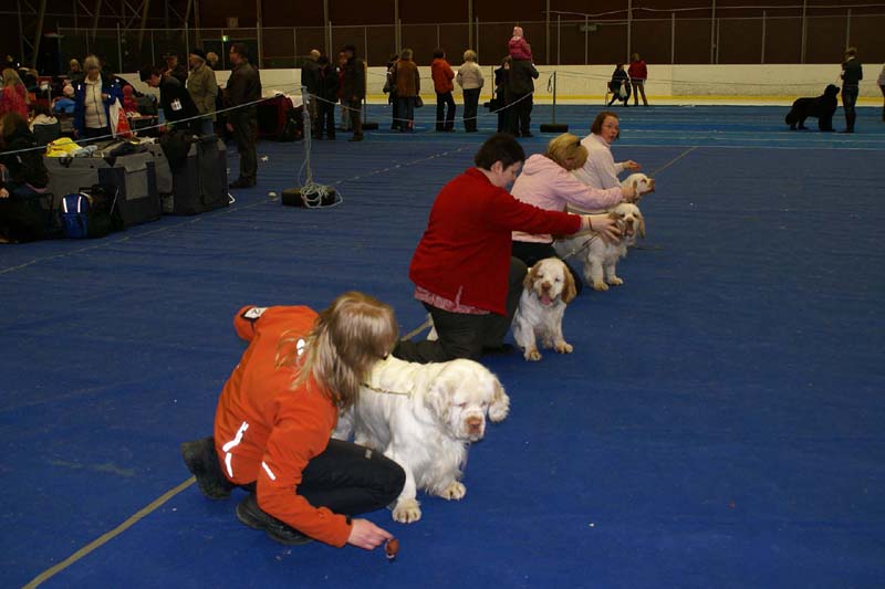 Lappeenranta_CACIB_BreedersGroup_b